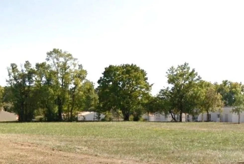 Image Terrain à bâtir de 702 m2 au prix de 39312 € à BUSSAC-SUR-CHARENTE.