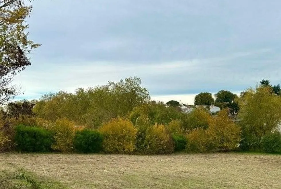 Image Terrain à bâtir de 603 m2 au prix de 53900 € à SAINTES.