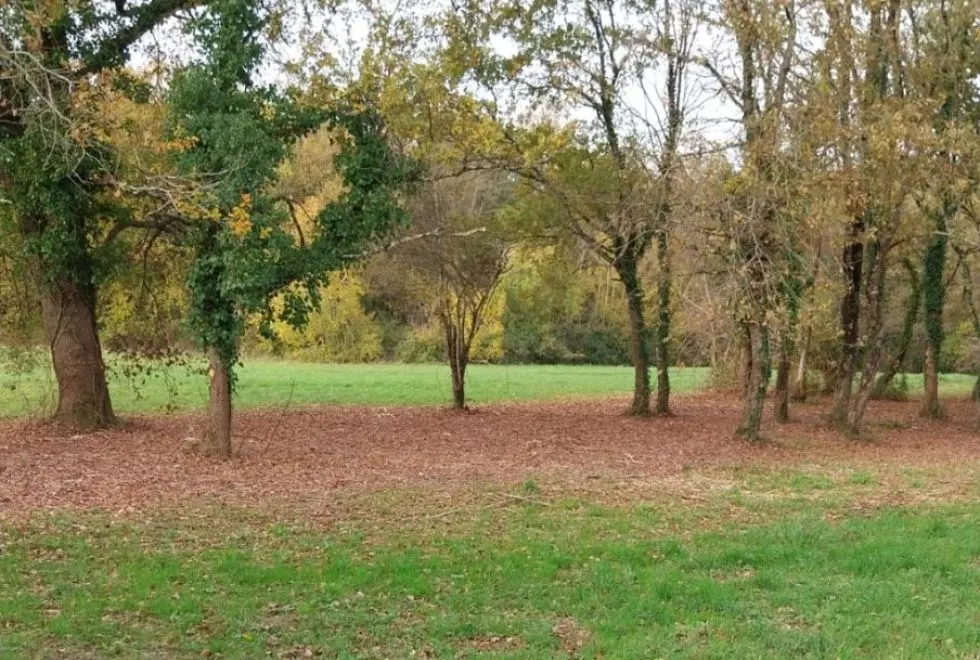 Image Terrain à bâtir de 2400 m2 au prix de 54000 € à LA CHAPELLE-DES-POTS.