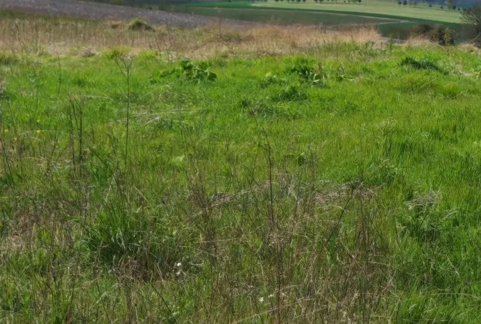 Image Terrain à bâtir de 664 m2 au prix de 61440 € à PREGUILLAC.