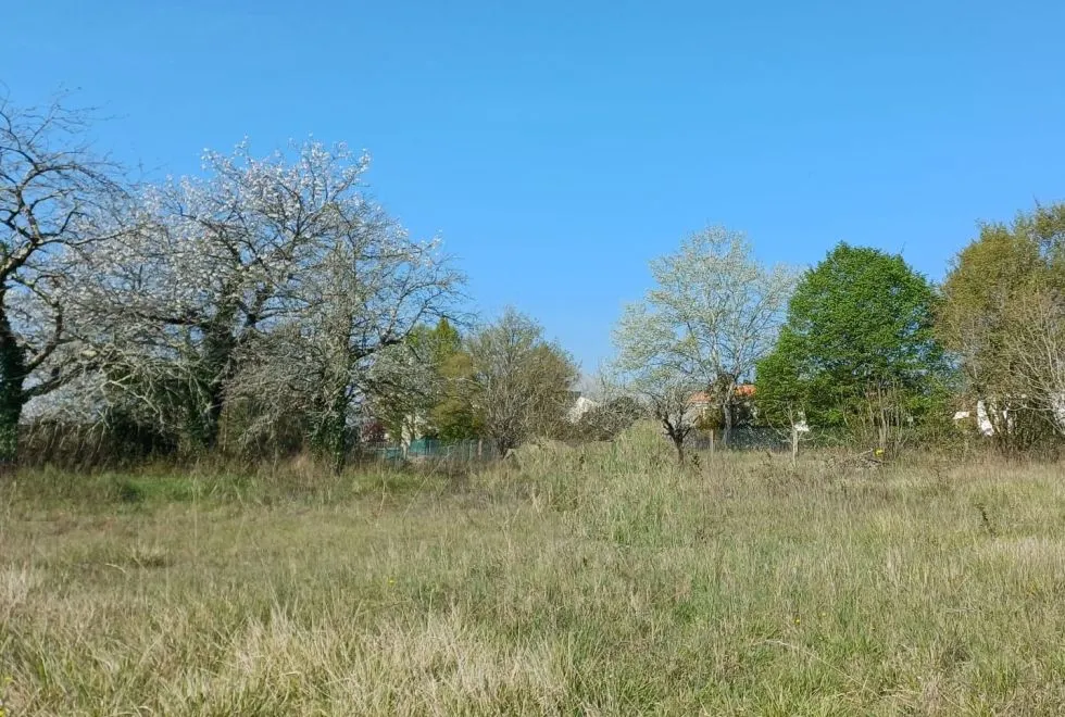 Image Terrain à bâtir de 441 m2 au prix de 65900 € à SAINTES.